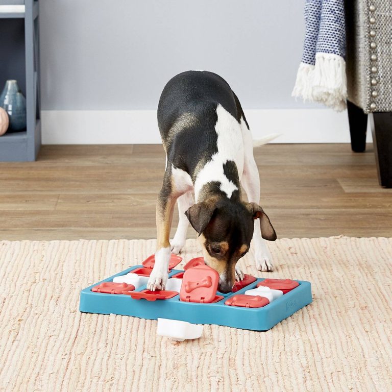 A black and white dog playing with an Interactive Puzzle Toy