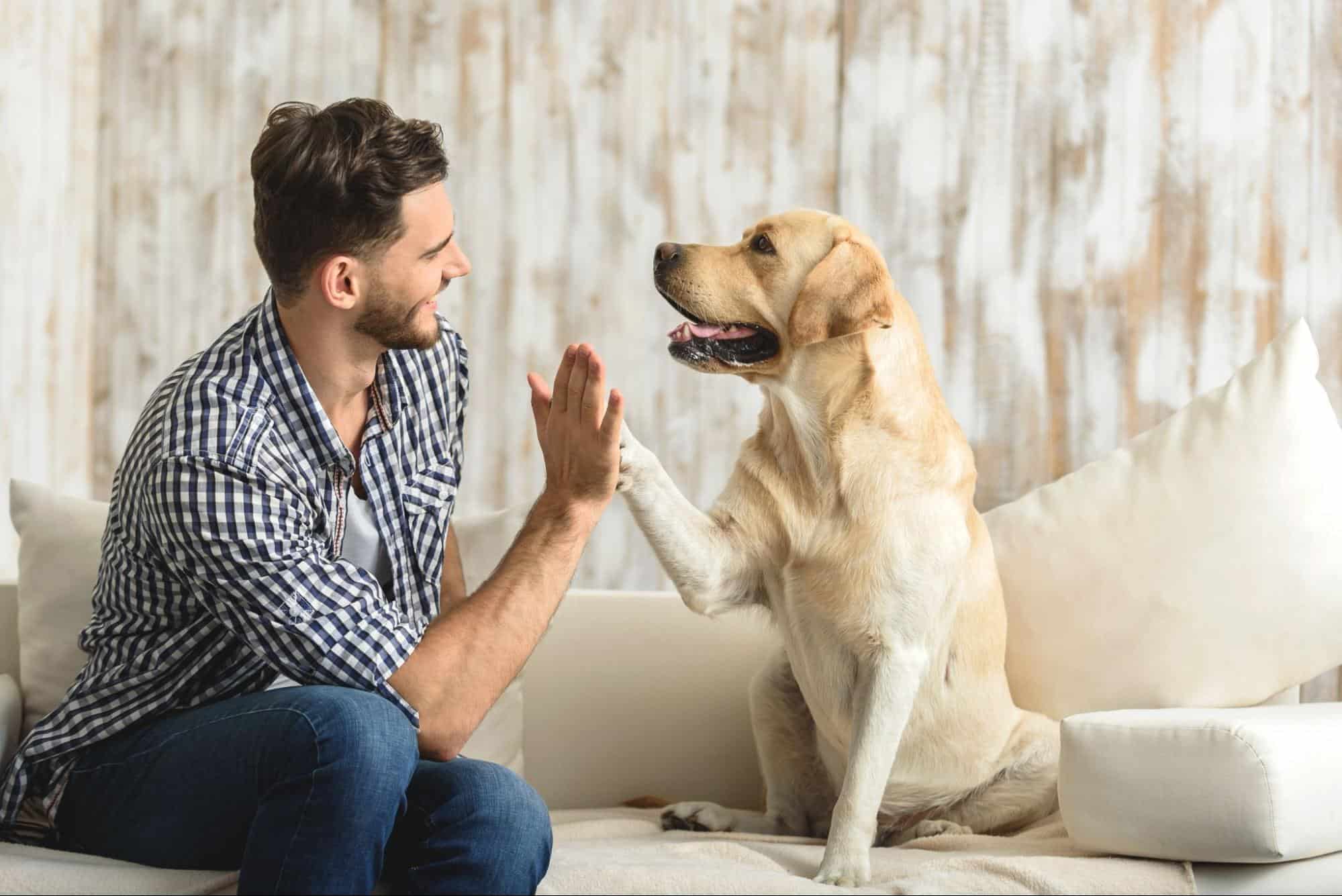 Paws for Thought How to Make Pawesome Choices for Your Pet’s Health