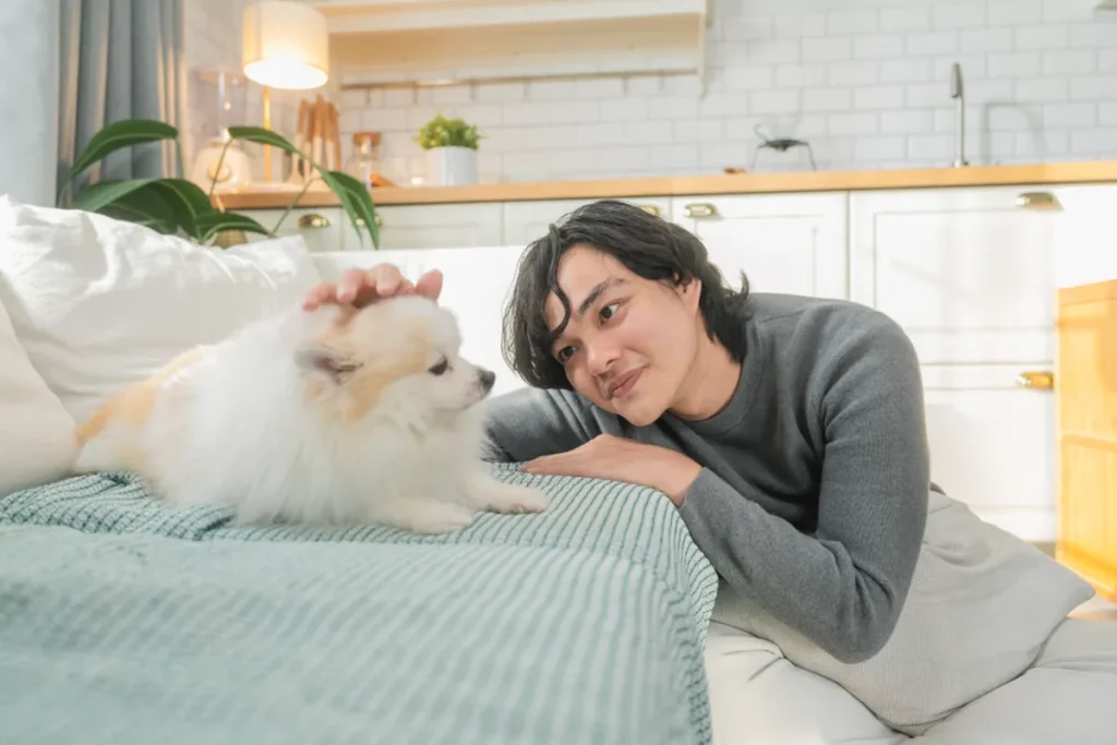 Health Monitoring During Your Dog’s Boarding Stay