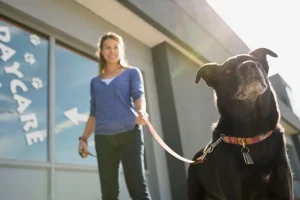 The College Drop-Off: How to Say Goodbye Without Triggering Separation Anxiety